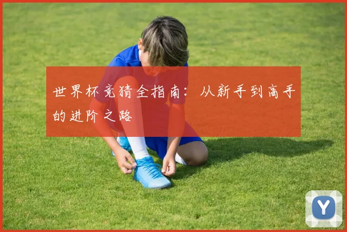 世界杯竞猜全指南：从新手到高手的进阶之路