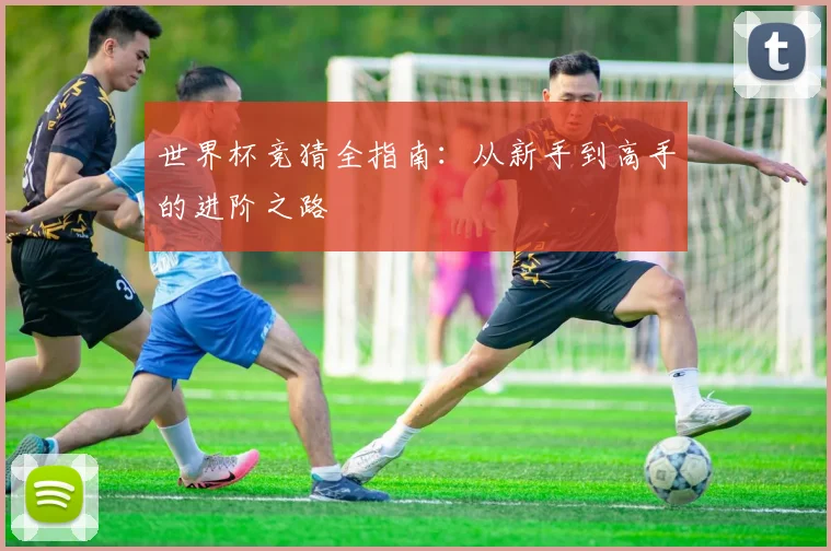 世界杯竞猜全指南：从新手到高手的进阶之路