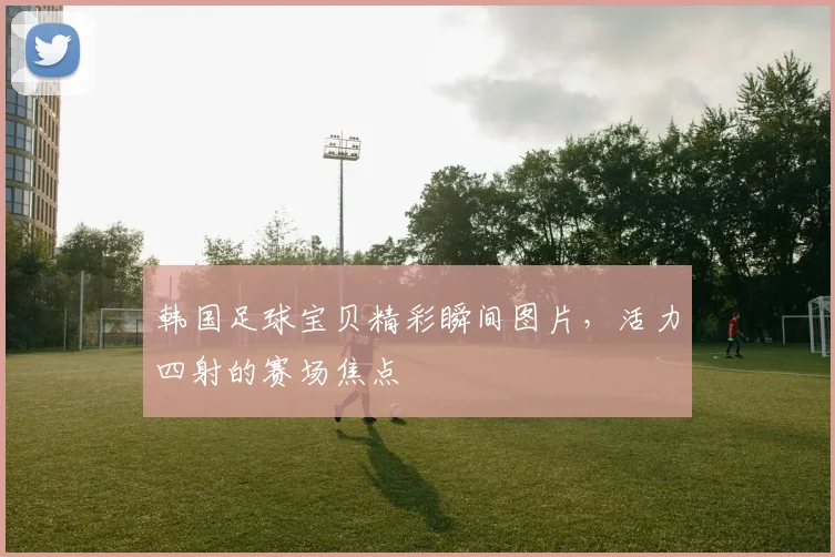 韩国足球宝贝精彩瞬间图片，活力四射的赛场焦点